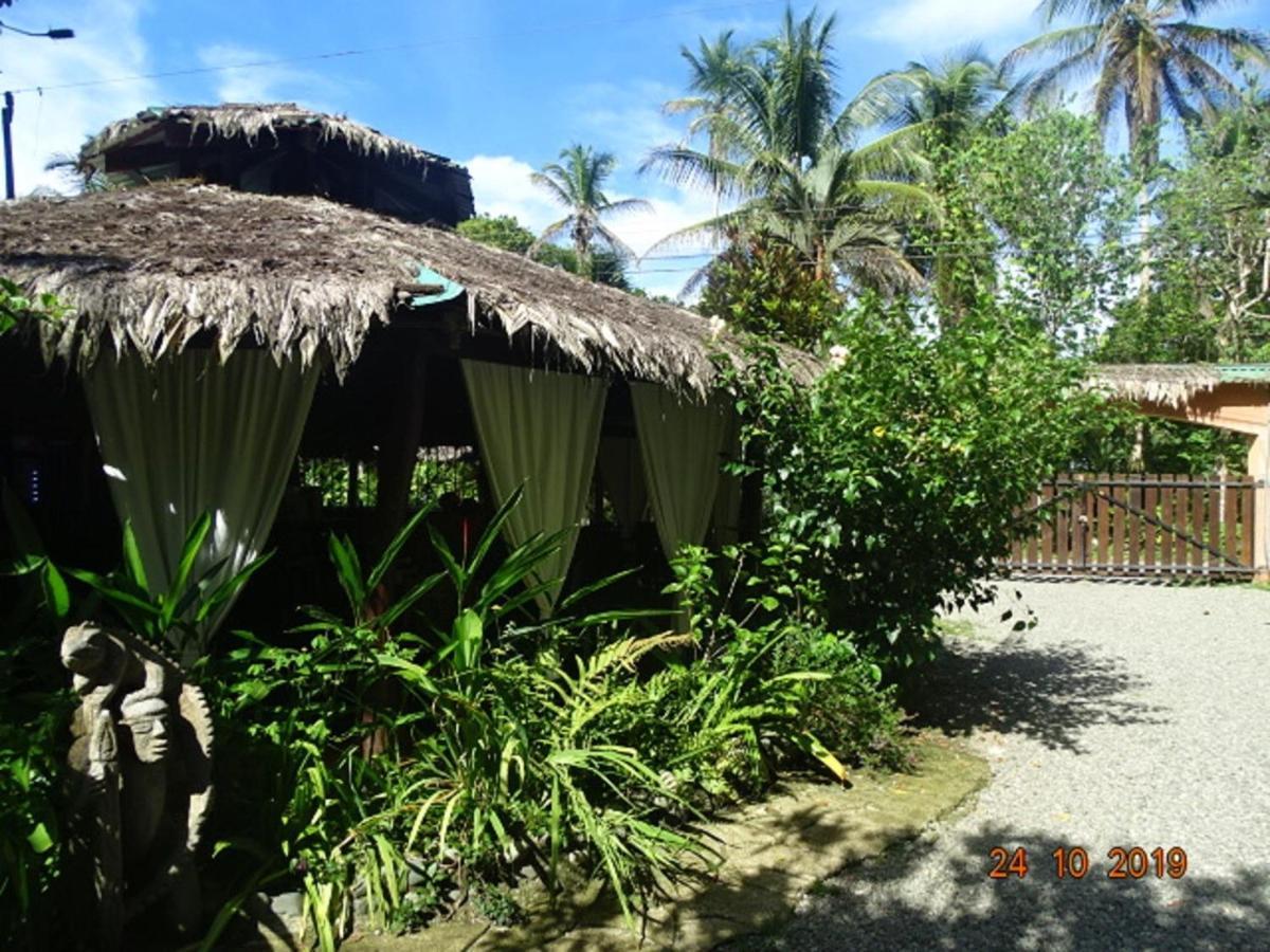 Hotel Caribbean Coconut Cahuita Exteriör bild